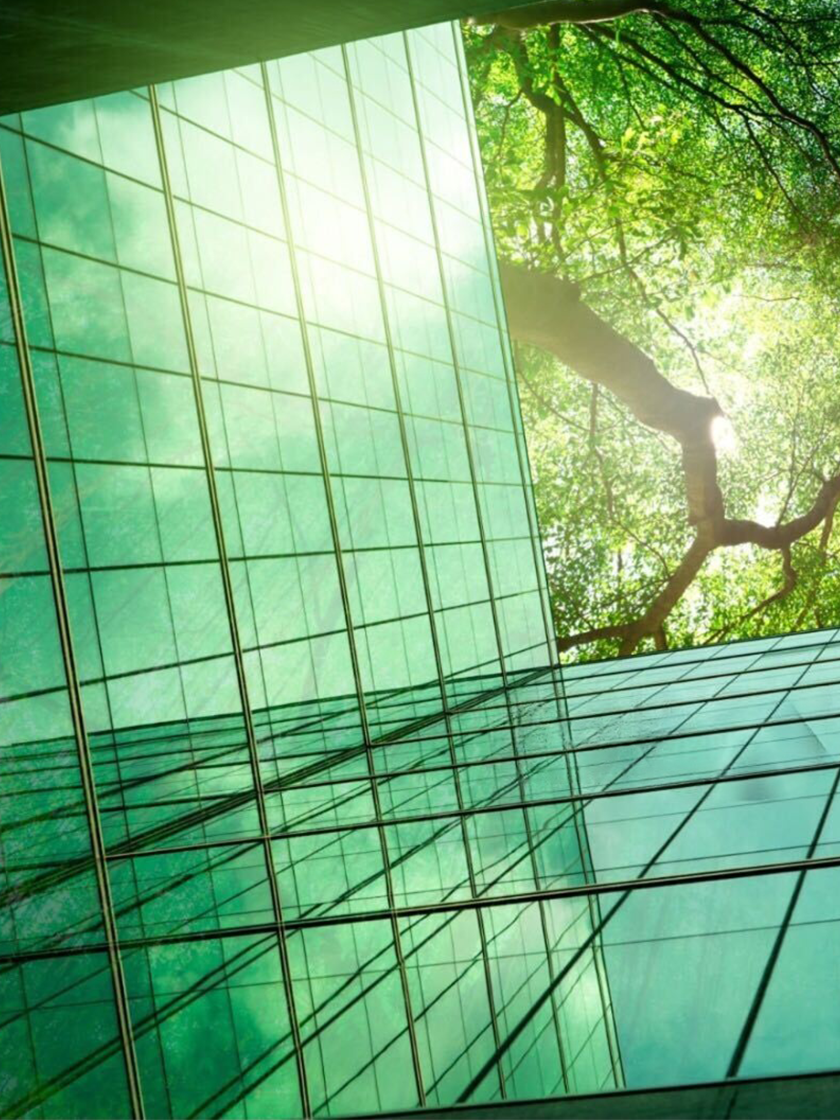 Partner-history-man white shi